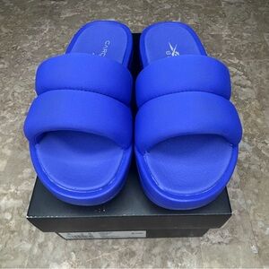 Reebok Women's Sandals in Vibrant Blue